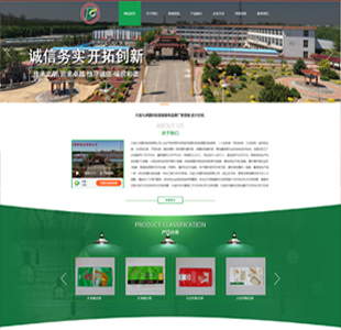 葫芦岛专业网站建设公司公司